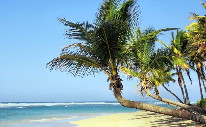 Cuba Expedition Beach