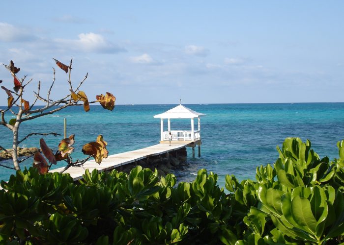 Half day ATV Excursion in Nassau 5