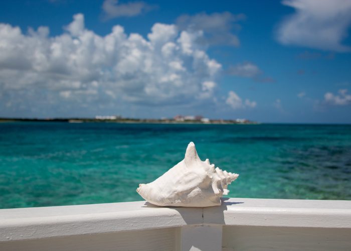 Pearl Island