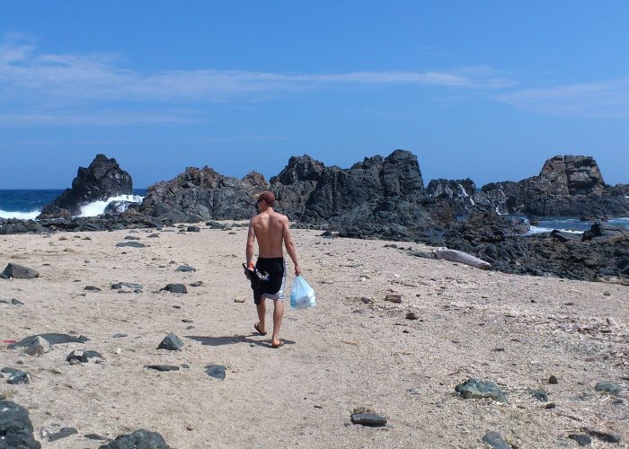 Things To do In Aruba Beaches