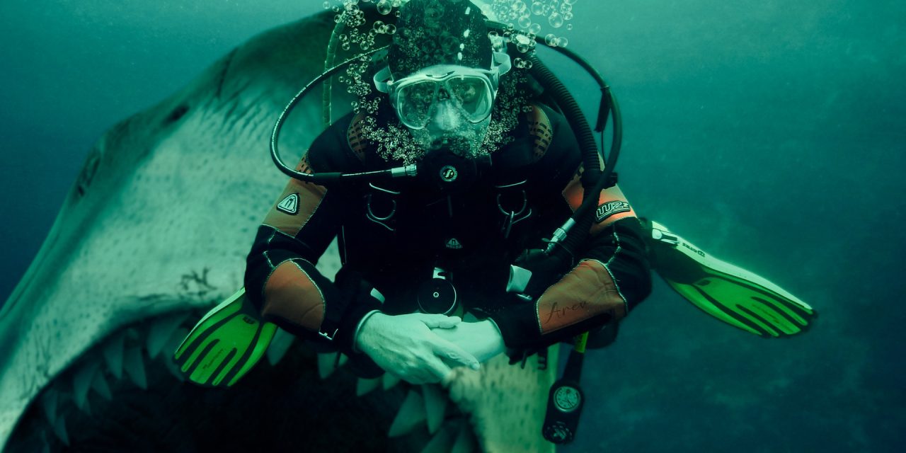 2 Tank – Certified Shark Dive