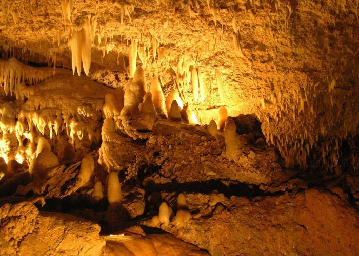 Harrisons Cave