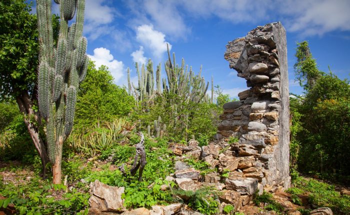 Curacao Jeep Tour