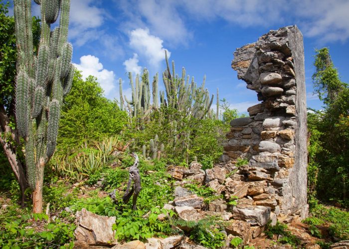 Curacao Jeep Tour