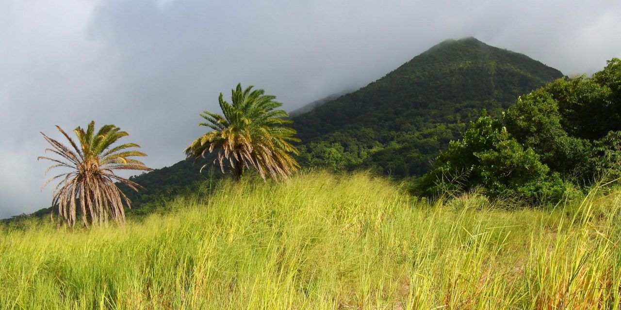 https://www.acrosscaribbeanexcursions.com/wp-content/uploads/2021/12/St-Kitts-Hike-1280x640.jpg