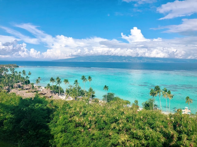 Explore the beautiful Moorea Tours and Excursions