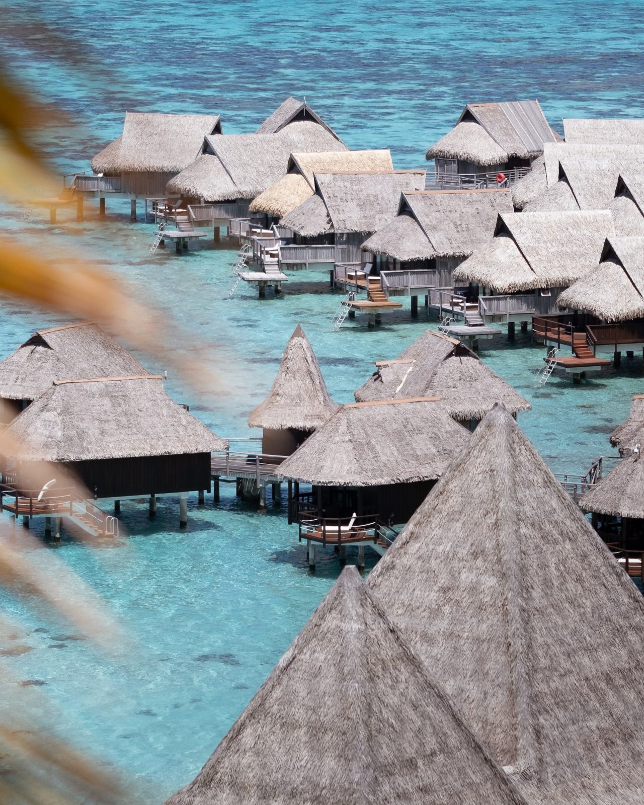 Huahine French Polynesia Travel Guide