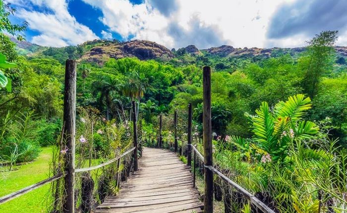 garden of the sleeping giant