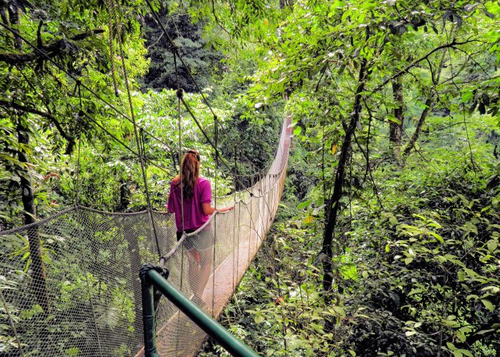 Combo Excursion Zip line suspension bridge and beach bridge