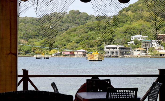 All inclusive extreme zip line Wild life encounter and beach