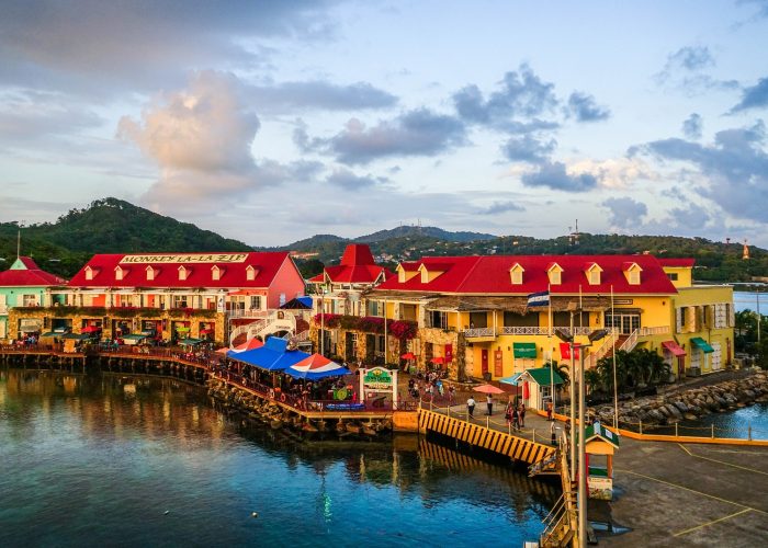 Best of Roatan and Beach Excursion