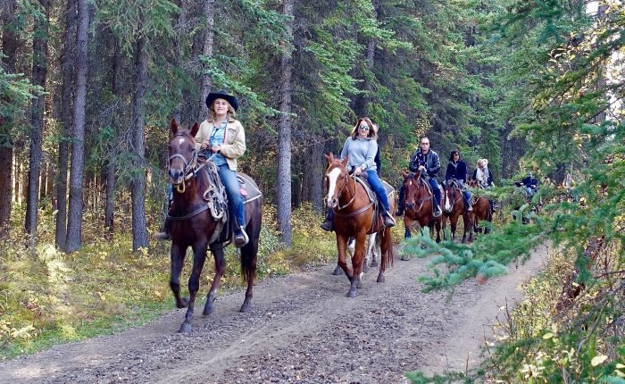 Roatan Jungle Horseback Riding and beach
