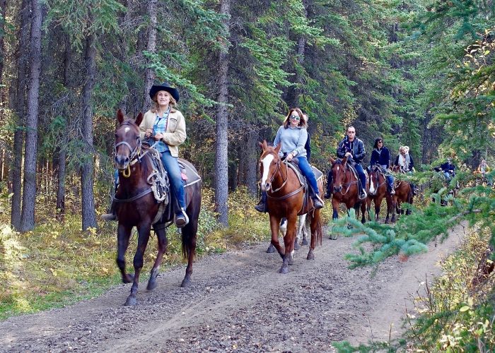 Roatan Jungle Horseback Riding and beach
