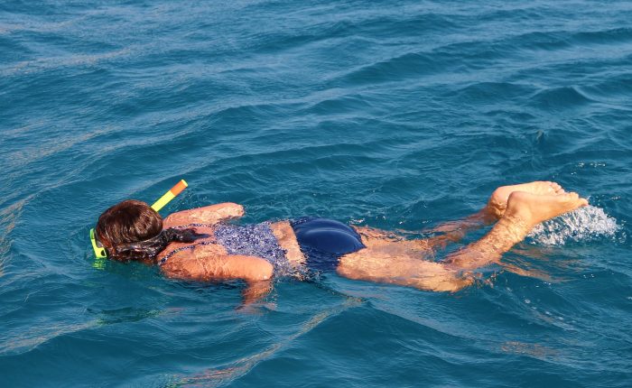 Roatan Ultimate Nature Combo Mangrove Cruise Horseback Riding Beach Snorkeling