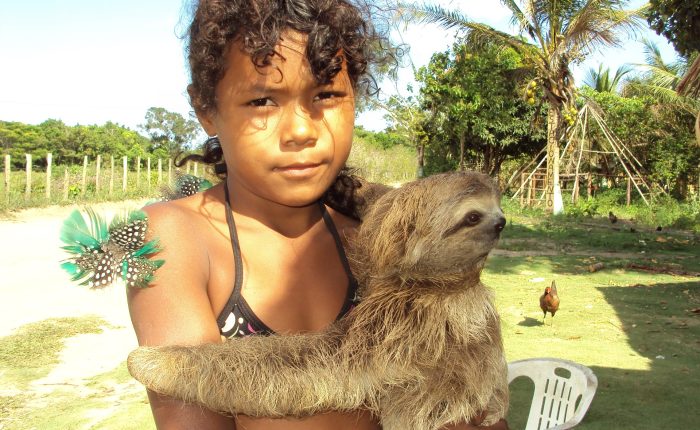 Zip dip and Wild life encounter monkeys and sloth hangout