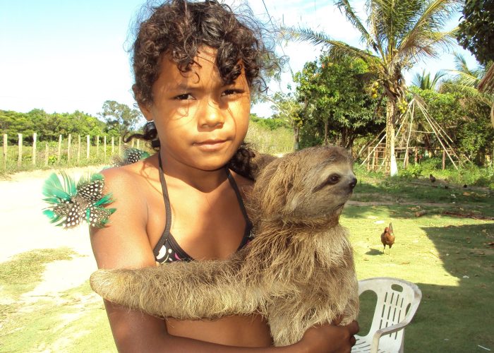 Zip dip and Wild life encounter monkeys and sloth hangout