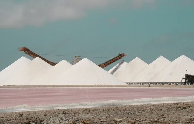 Guided South and North Tour of Bonaire ()