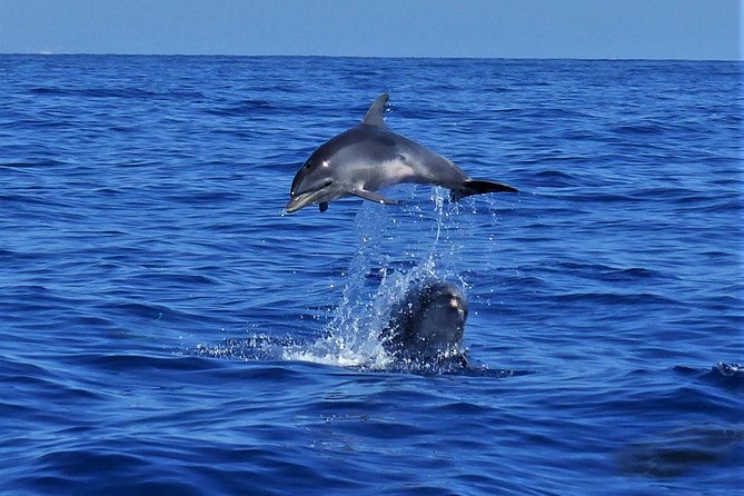 Los Roques Full Day Archipelago Trip