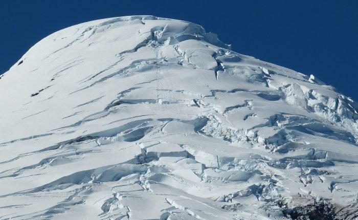 Patagonian Wonders Expedition Day:Nights