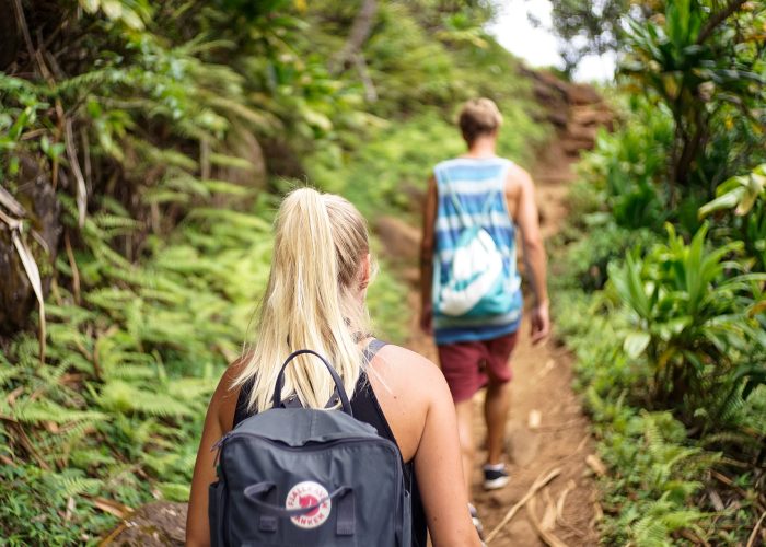 Hike Scenes