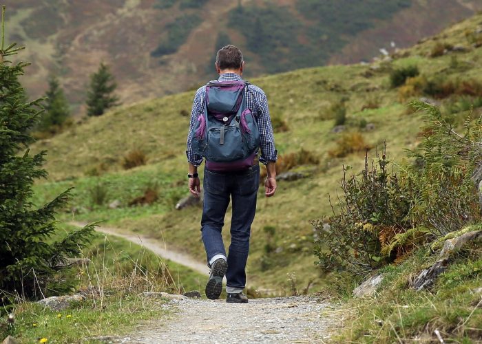 mountaineering Trail Hike