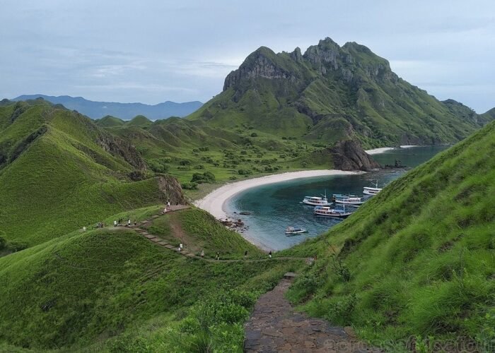 Komodo