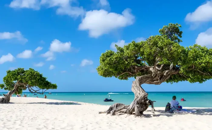 Aruba Luxury