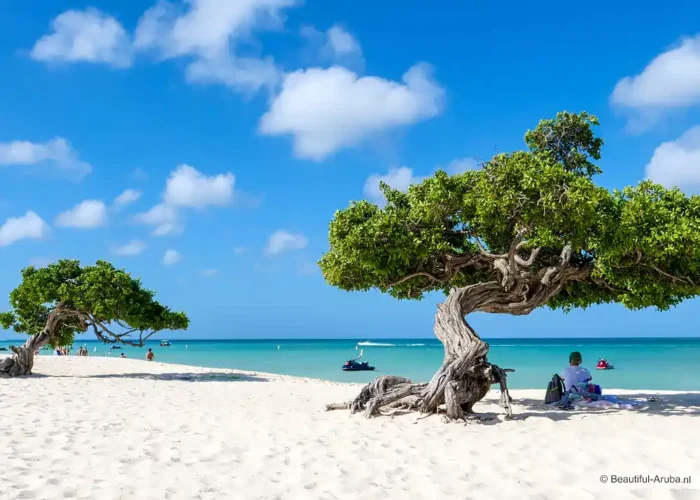 Aruba Luxury