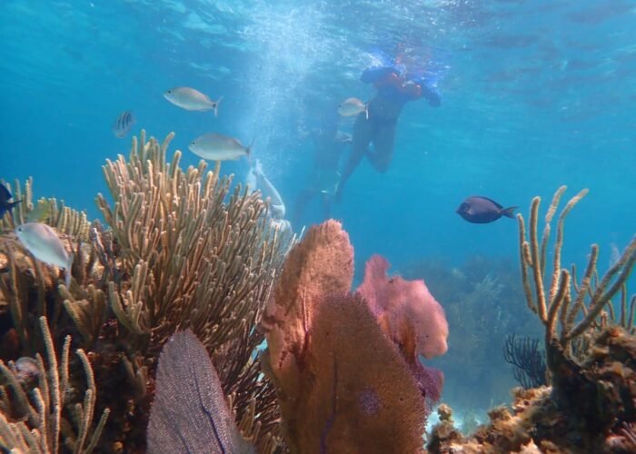 Cayman