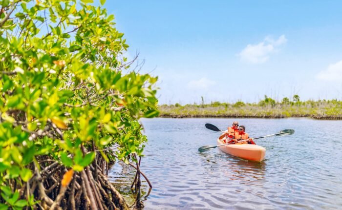 Bahamas eco tour
