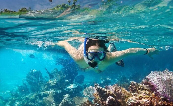 Barbados snorkeling tour