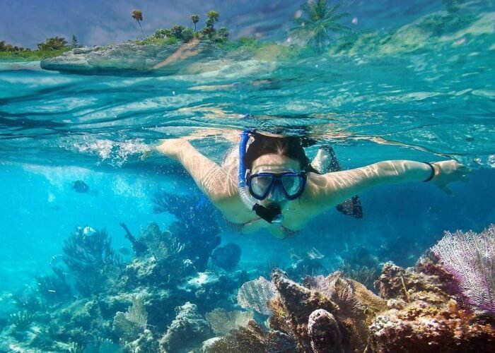 Barbados snorkeling tour