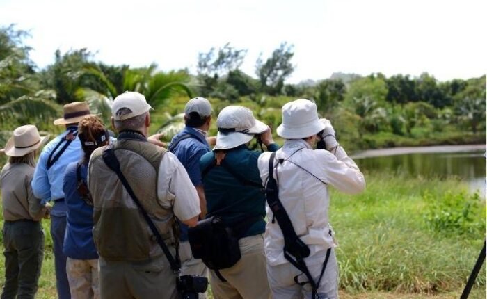 Barbados eco tour