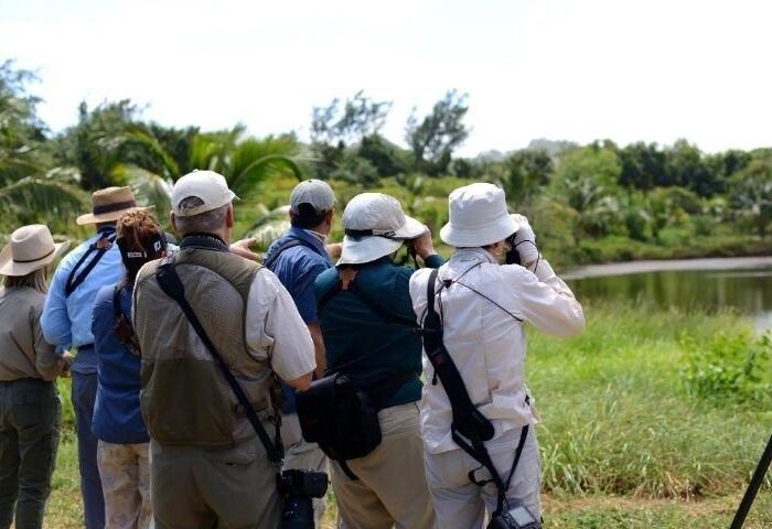 Barbados eco tour