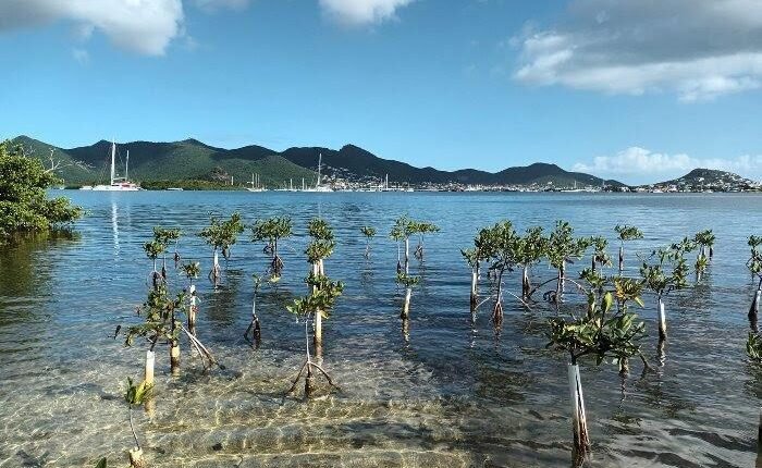 St. Maarten eco tour