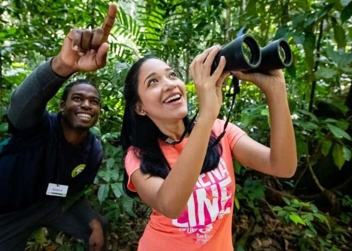 St. Lucia eco tour