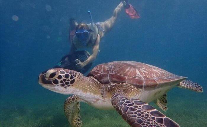 Antigua snorkeling tour