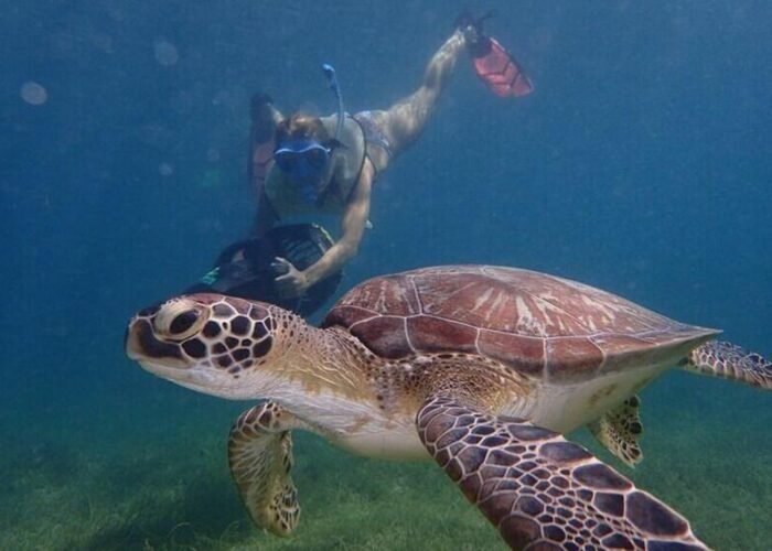 Antigua snorkeling tour