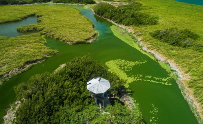 Aruba eco tour
