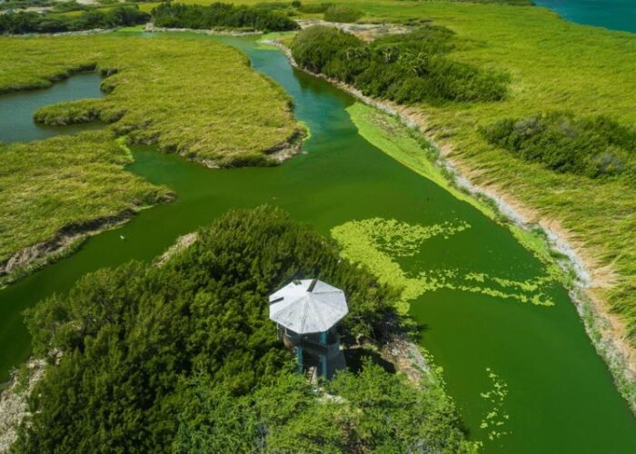 Aruba eco tour