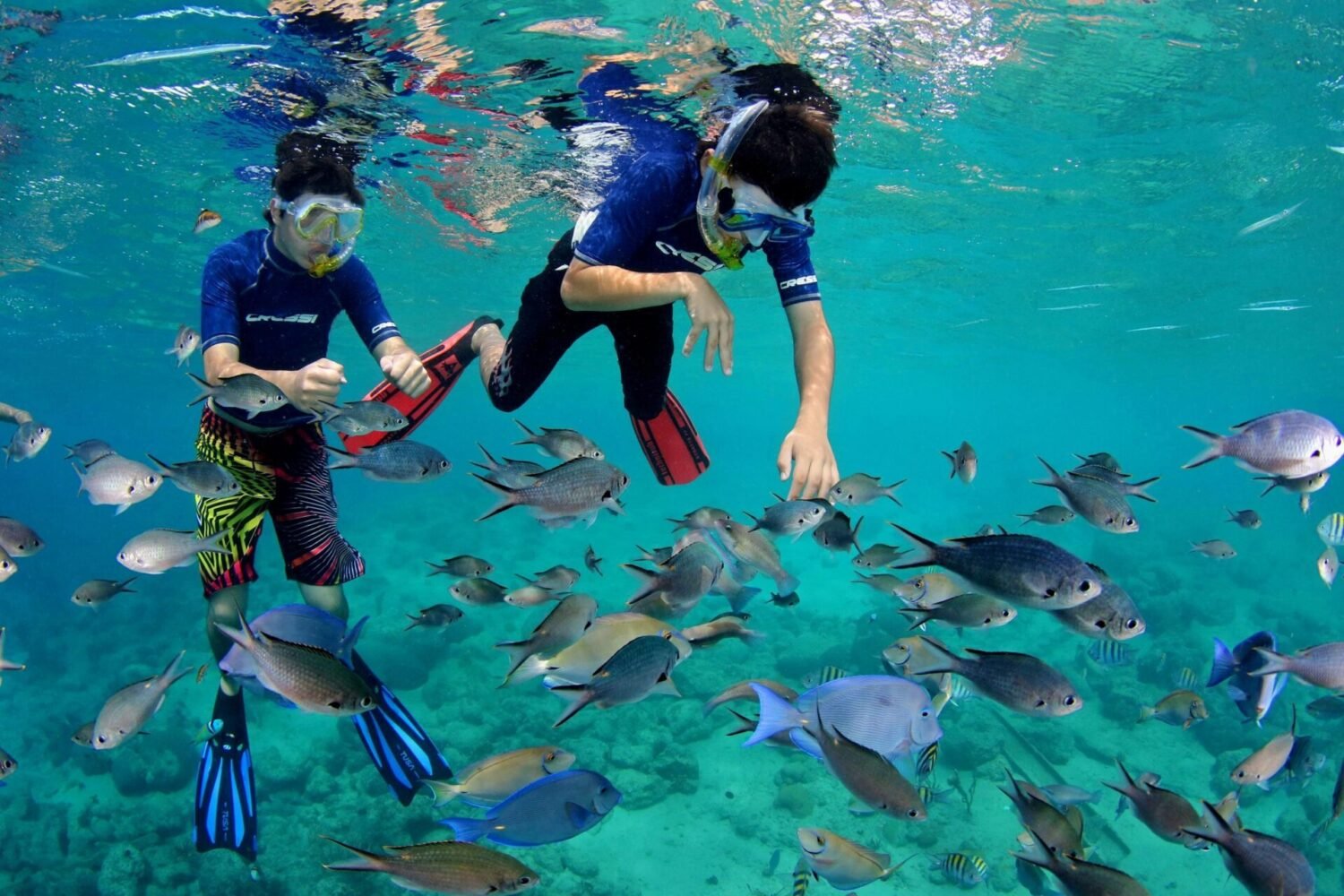 curacao-cultural-tour